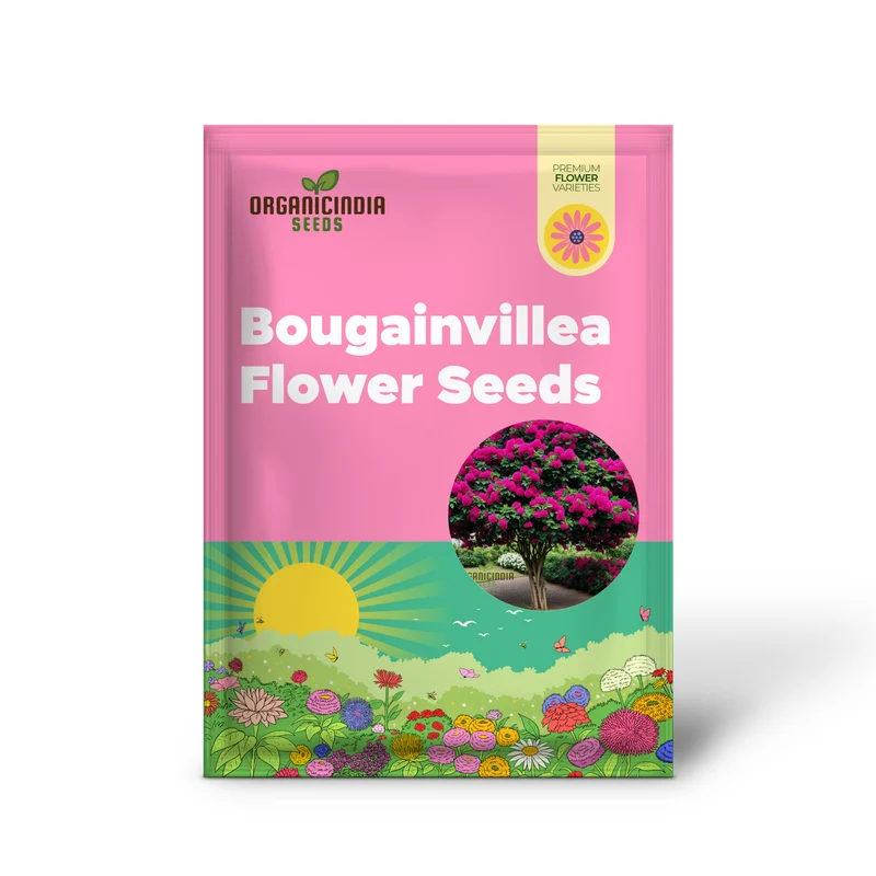 Bougainvillea Dark Pink Flower Seeds, Maroon Premium Bougainvillea Seeds, Colorful Garden Blooms