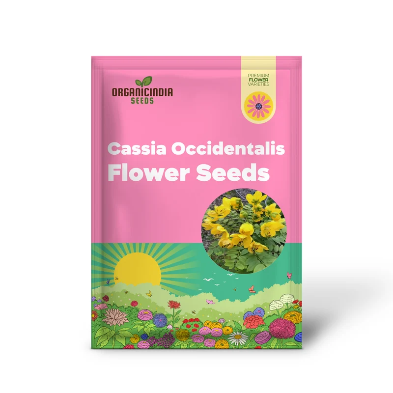Premium Cassia Occidentalis Flower Seeds – Exotic Yellow Blooms for Garden Beds, Pathway Borders, Outdoor Landscapes & Decorative Displays