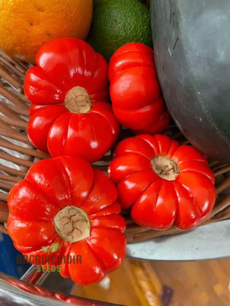Grow Exotic Pumpkin Trees: Premium Solanum Integrifolium Seeds for Planting