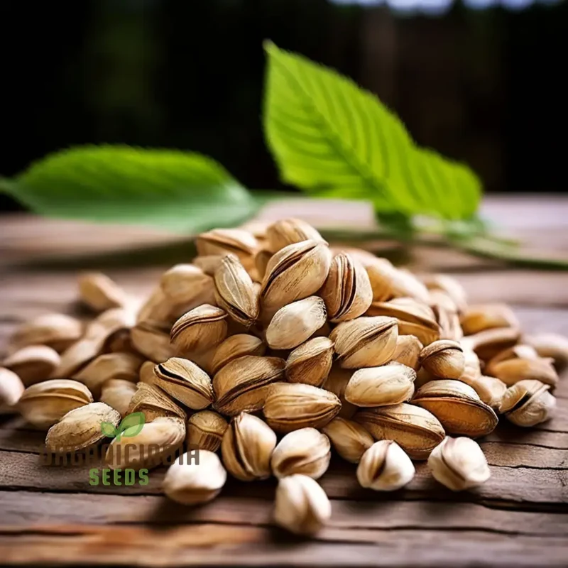 Pure Organic Slippery Elm Seeds, Cultivate Nature's Healing Power with Premium Herb Seeds for Planting