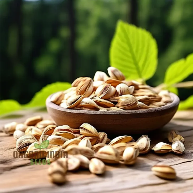 Pure Organic Slippery Elm Seeds, Cultivate Nature's Healing Power with Premium Herb Seeds for Planting