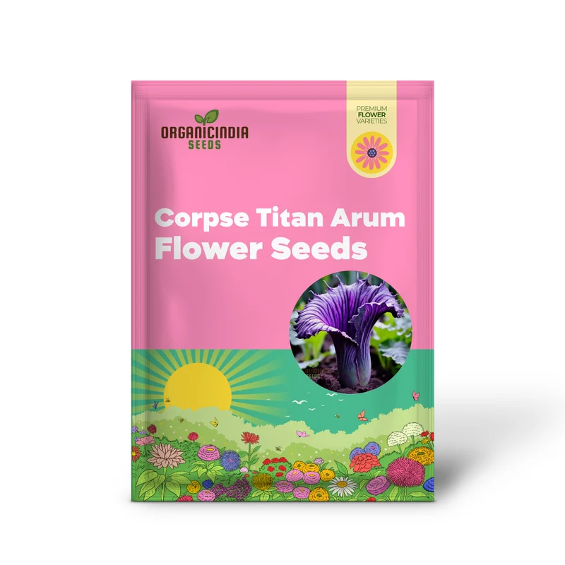 Purple Corpse Titan Arum Flower Seeds, Unique Purple Corpse Titan Arum Biggest Flower Seeds