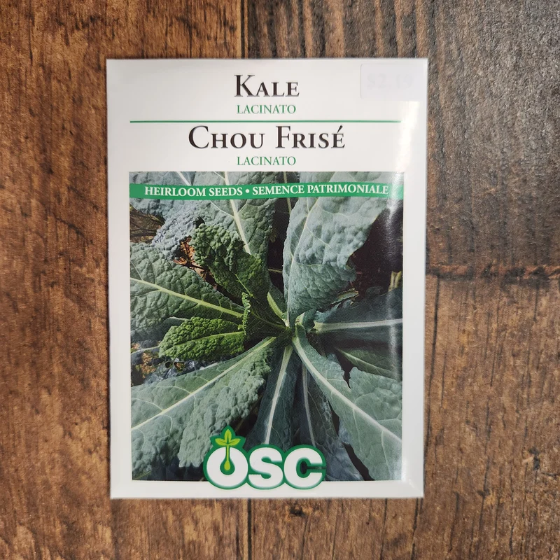 Chou frisé 'Lacinato'
