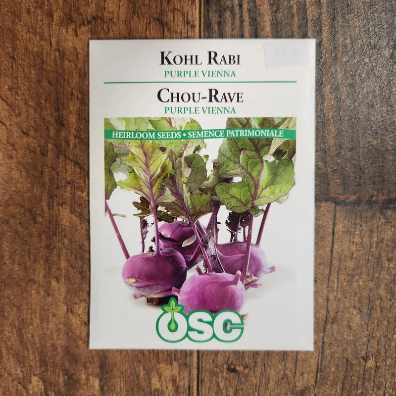 Chou-rave mauve 'De Vienne'