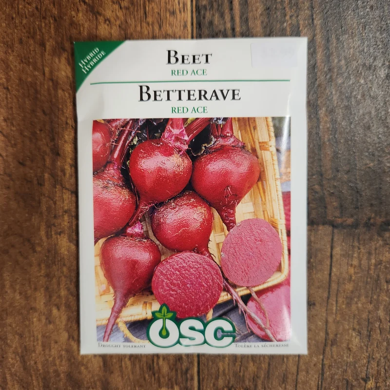 Betterave 'Red Ace'