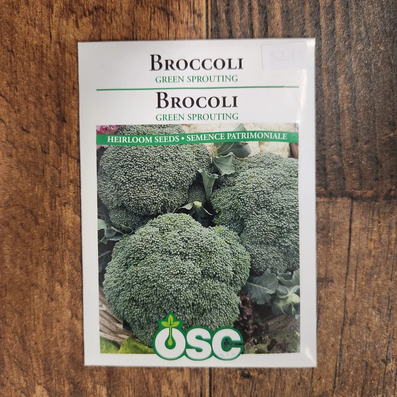 Brocoli 'Green Sprouting'
