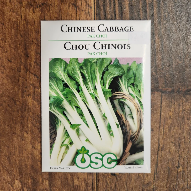 Chou chinois 'Pak Choi'