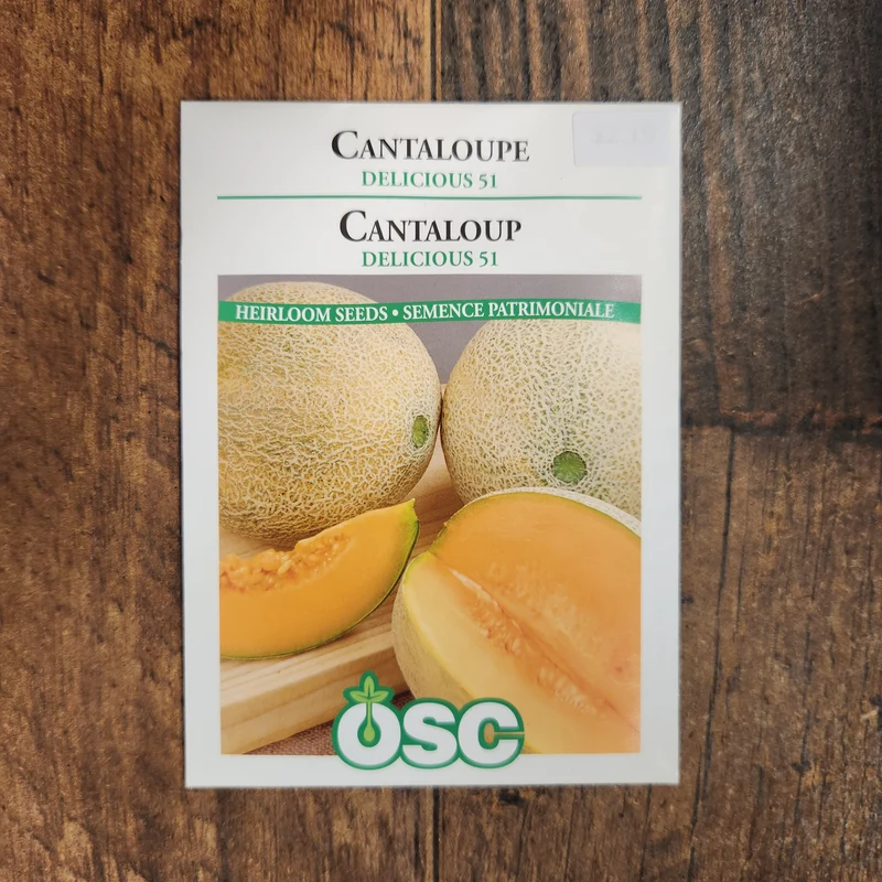 Cantaloup 'Delicious 51'