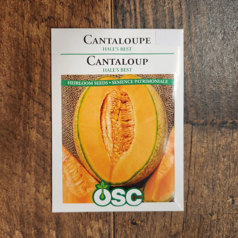 Cantaloup 'Hale's Best'