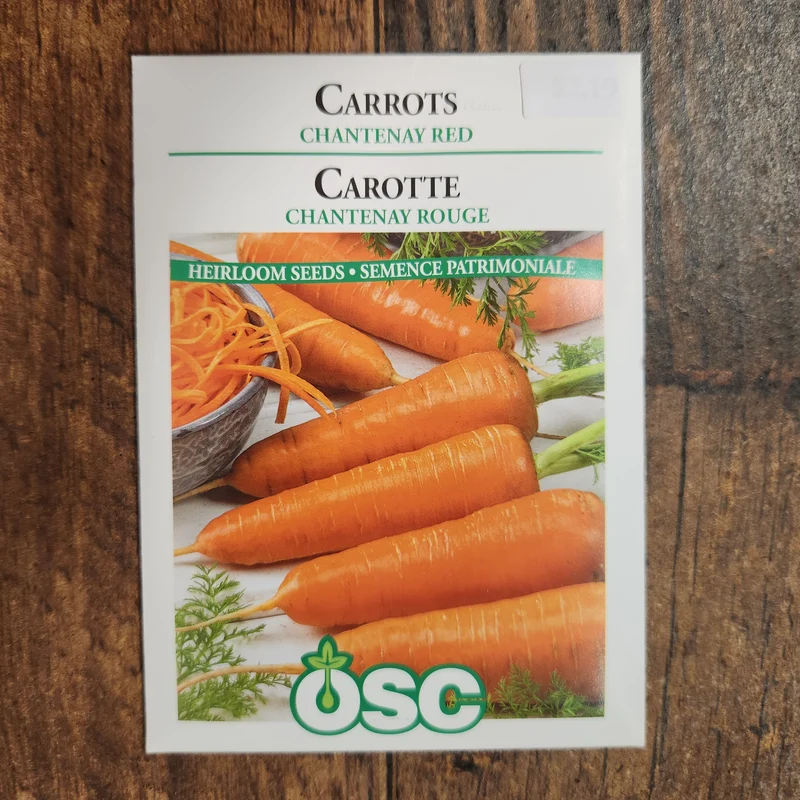 Carotte 'Chantenay Rouge'