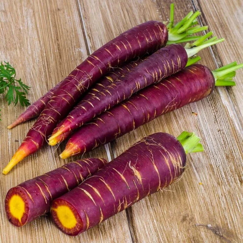 Carotte mauve 'Cosmic purple'