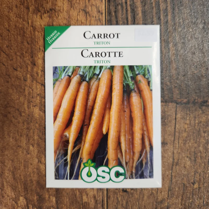 Carotte 'Triton'