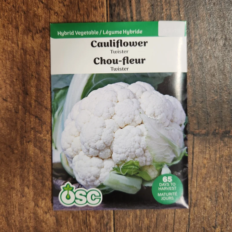 Chou-fleur blanc 'Twister'