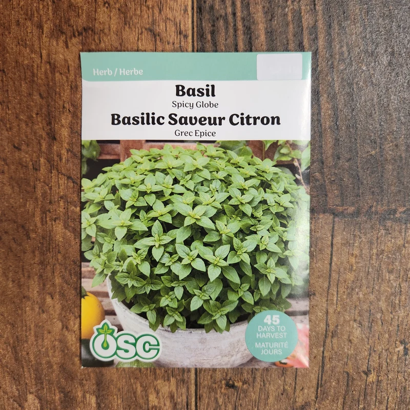 Basilic citronné 'Sweet Dani'