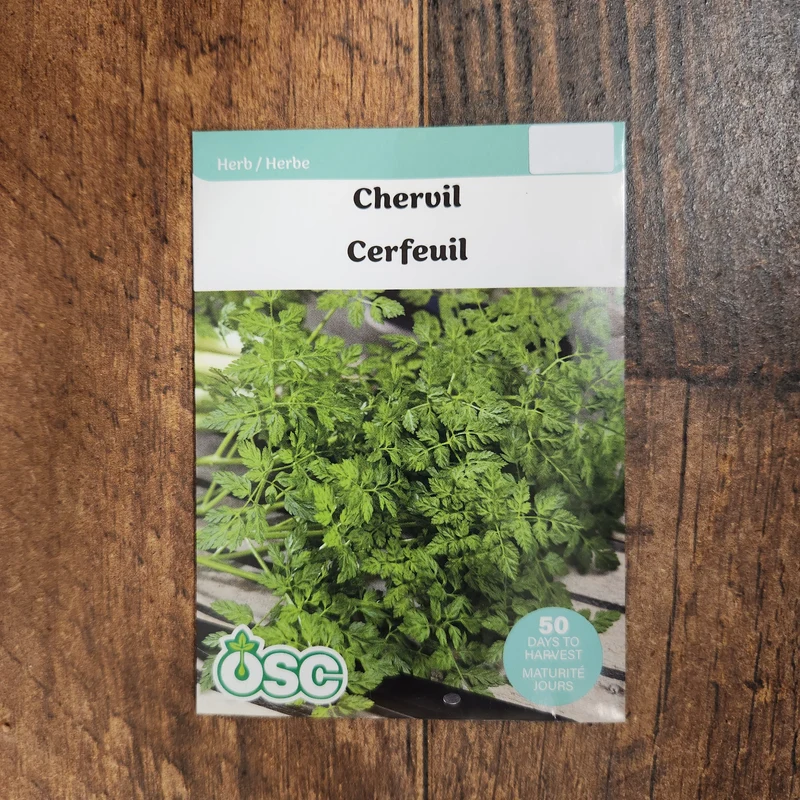 Cerfeuil