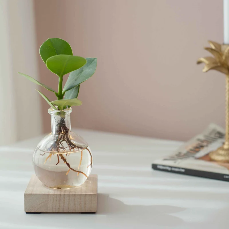 Mini Vase et son support en bois lumineux