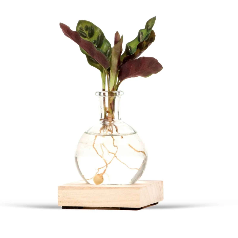 Mini Vase et son support en bois lumineux