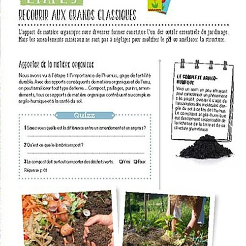 Transformez un coin de pelouse en un petit potager