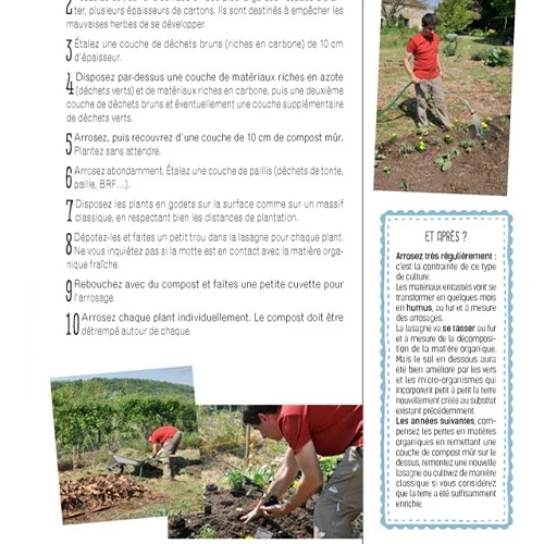 Transformez un coin de pelouse en un petit potager