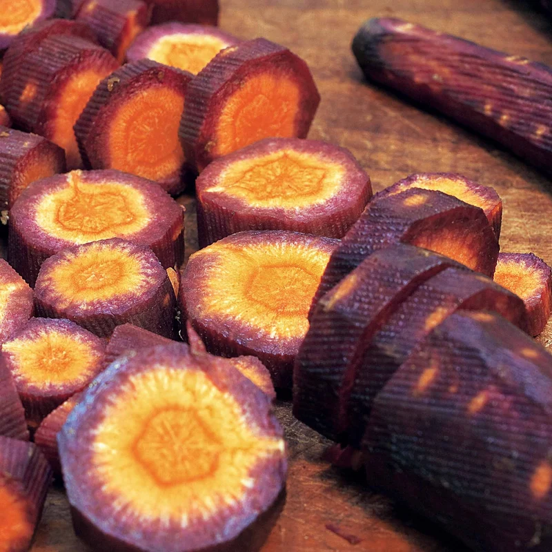 Carotte Purple haze F1