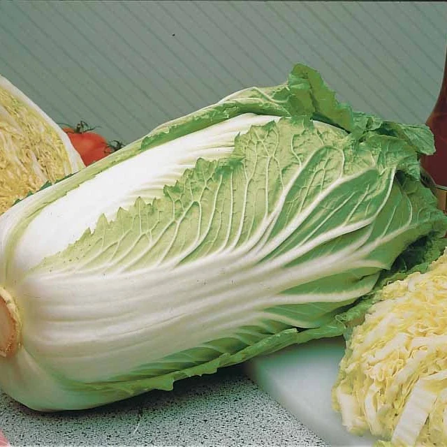 Chou de Chine Pe-Tsai