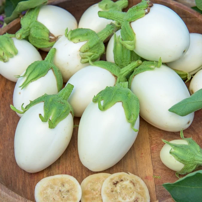 Aubergine Blanche ronde à oeufs