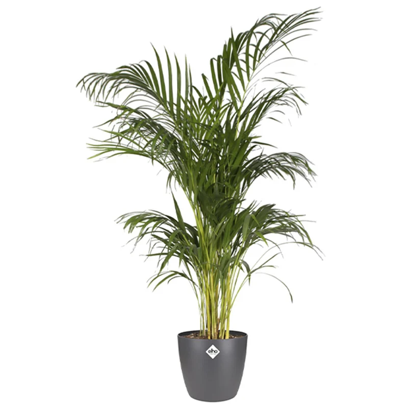 Cache-pot Brussels Round anthracite ELHO