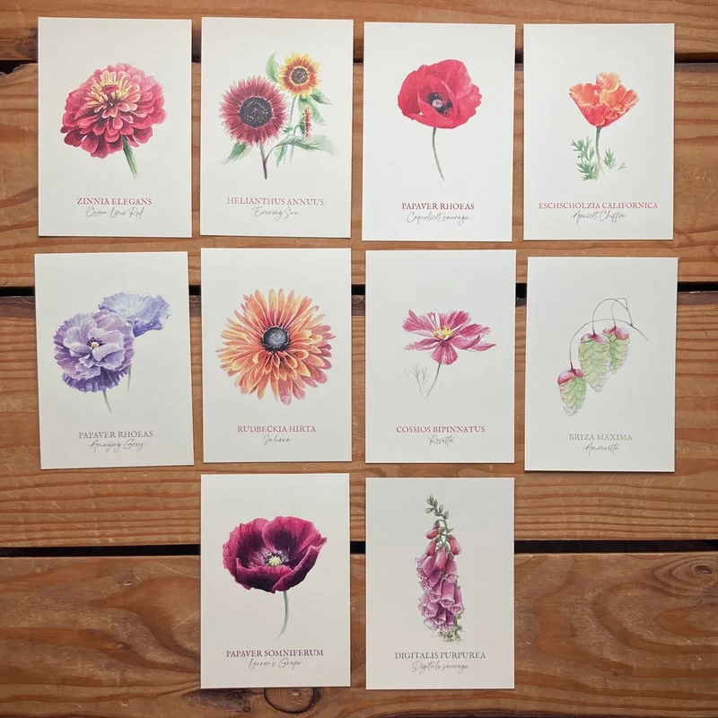 Collection "Fleurs" • 10 Cartes illustrées et Enveloppes