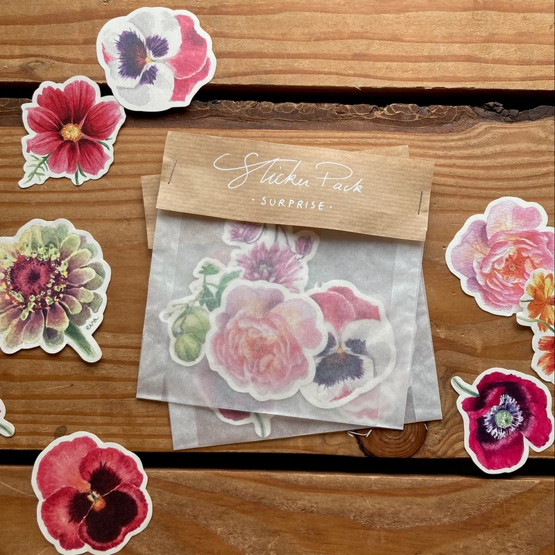 Sticker Pack "Surprise" • 5 Autocollants papier en mélange