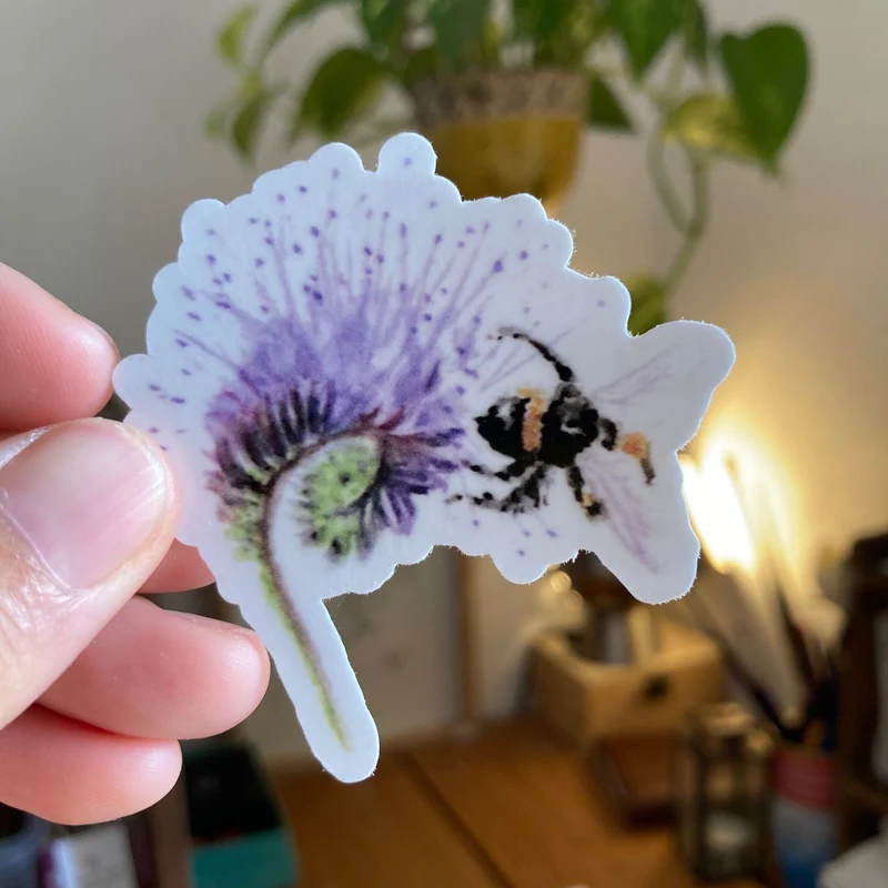 Sticker "Phacélie" • Autocollant en vinyle transparent