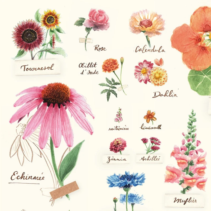 Affiche "Fleurs Comestibles" • Illustration aquarelle 30x40 cm