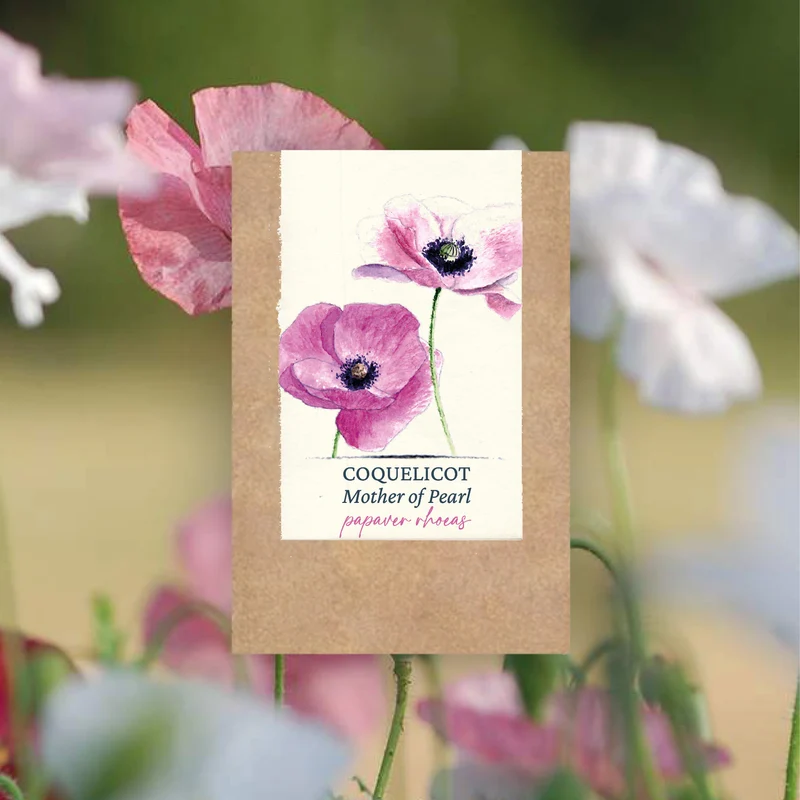Graines de Coquelicot "Mother of Pearl"• Certifiées AB