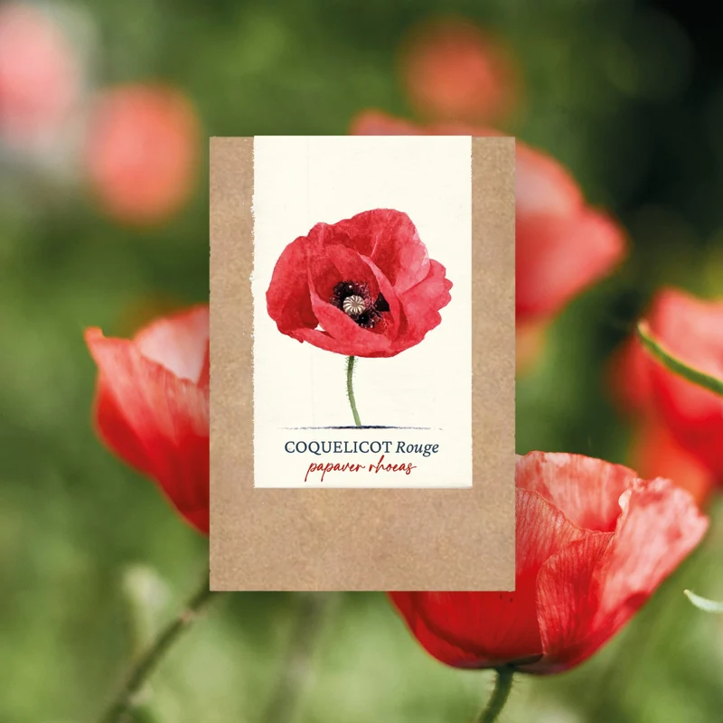 Graines de Coquelicot sauvage • Certifiées AB