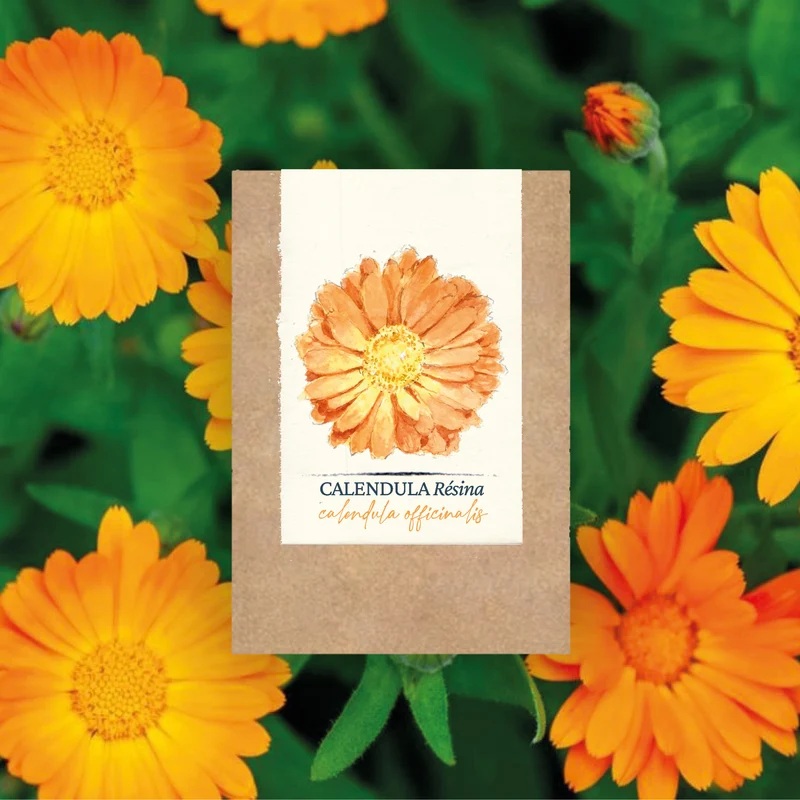 Graines de Calendula "Résina" • Certifiées AB