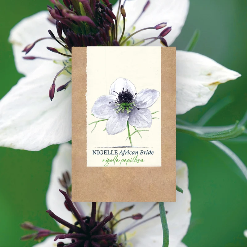Graines de Nigelle "African Bride" • Certifiées AB