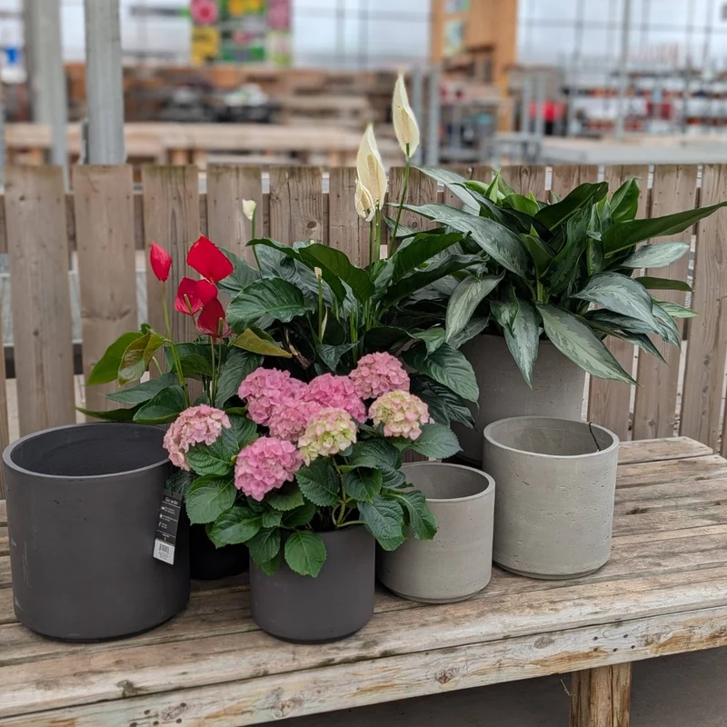 Collection de pots Chicago par Giojardin – Fibrociment avec drainage