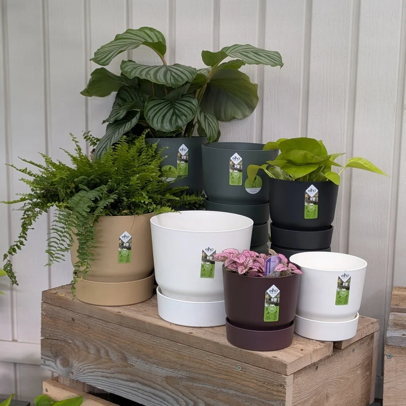 Collection Greenville – Pot écoresponsable avec réservoir d’eau