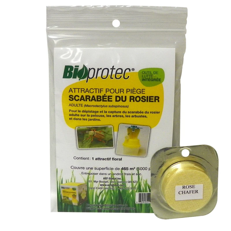 Piège scarabée du rosier - BioProtec