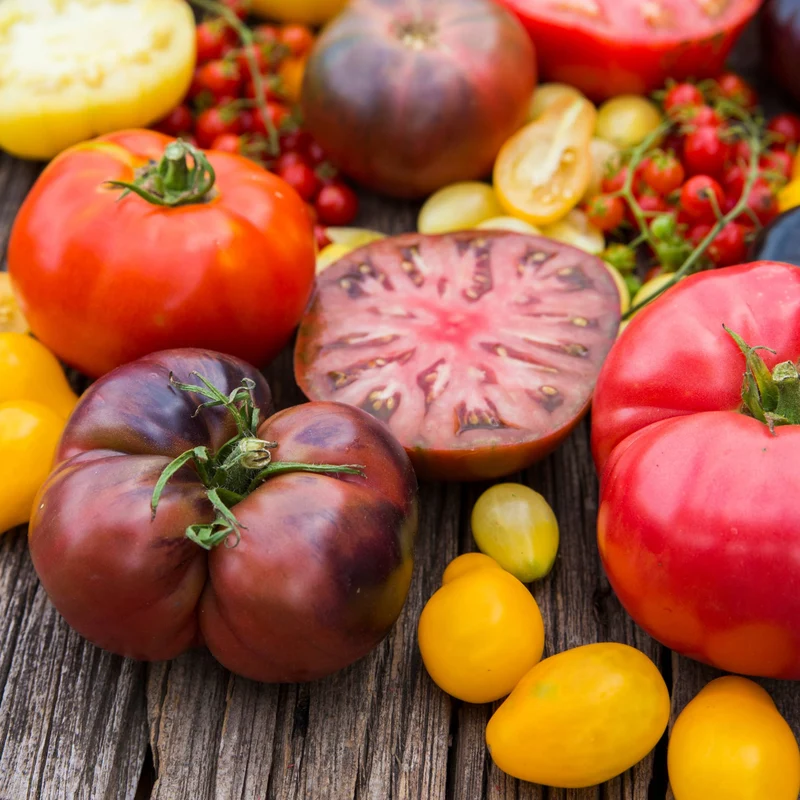 Collection « Légumes Funky » - piments, poivrons et tomates uniques
