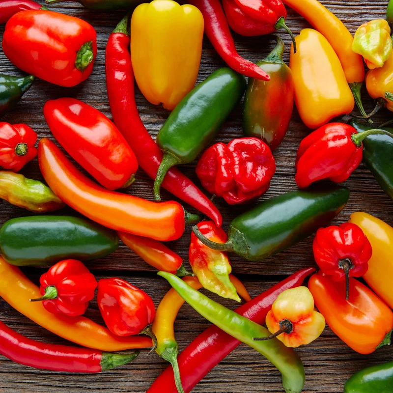 Collection « Légumes Funky » - piments, poivrons et tomates uniques