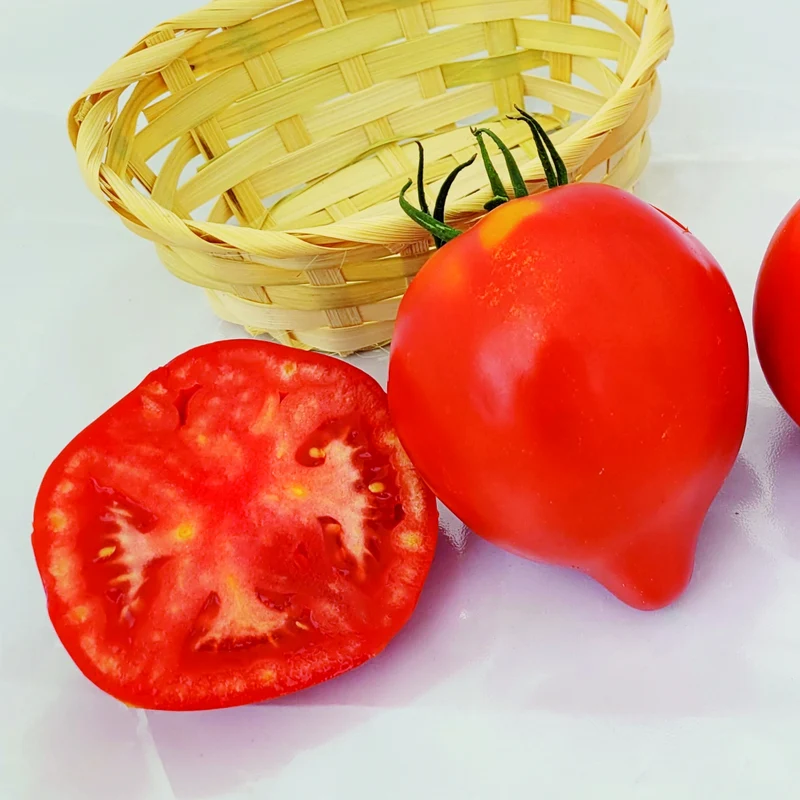 Tomate Cœur de Bœuf 'Bellacoeur'