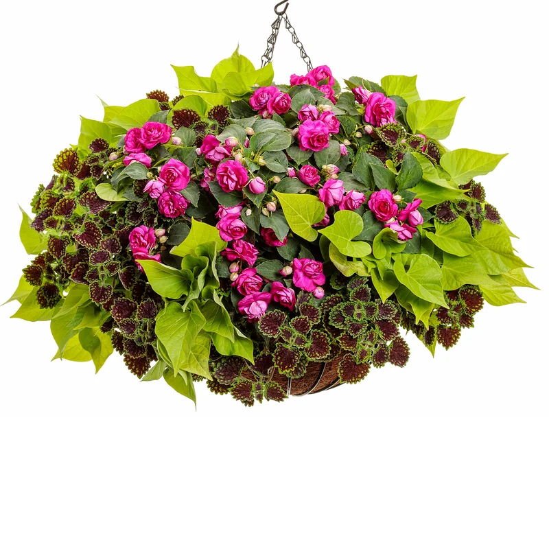 Jardinière suspendue Manhattan