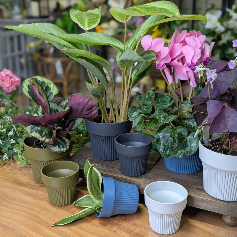 Cache-pot pour plante d'intérieur - Collection Eclipse Tiny
