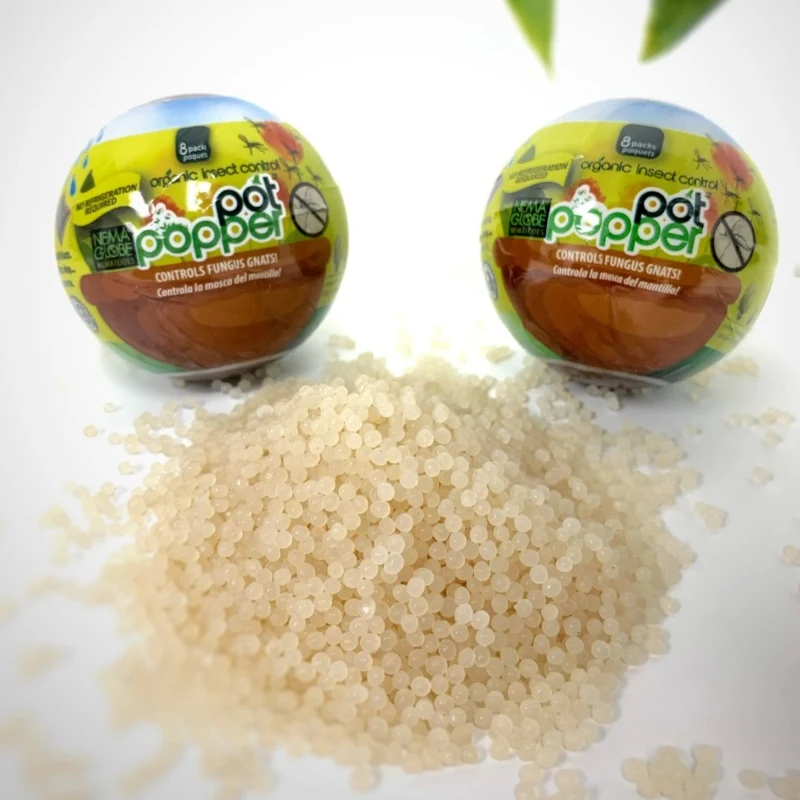 Nématodes Pot Poppers