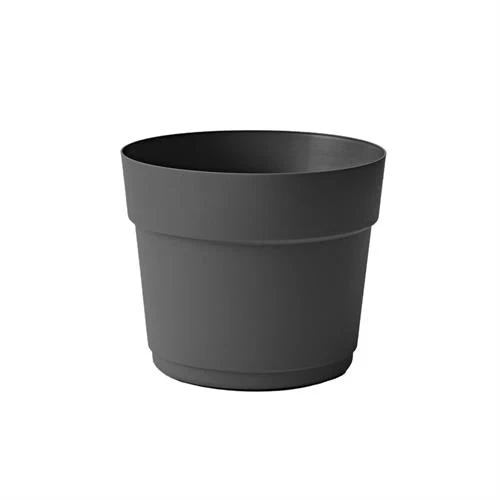 Pot Bloom Collection Tera