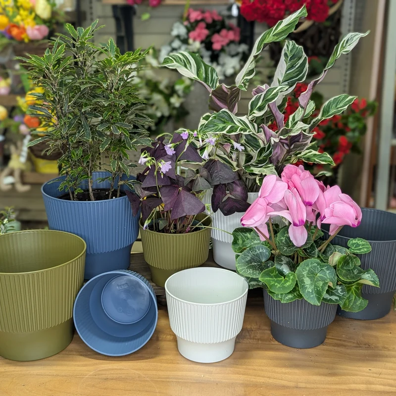 Cache-pot pour plante d'intérieur - Collection Eclipse Mini