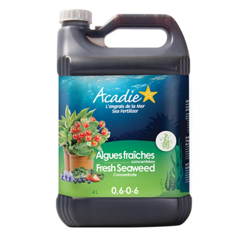 Engrais d'Algues fraîches concentrées 0,6-0-6 Acadie 100% naturel