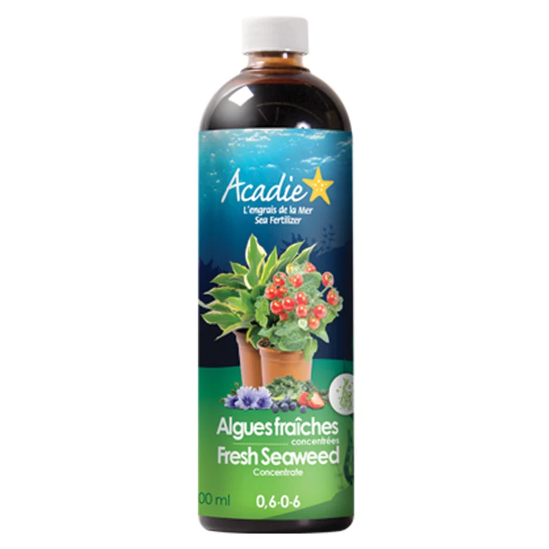 Engrais d'Algues fraîches concentrées 0,6-0-6 Acadie 100% naturel