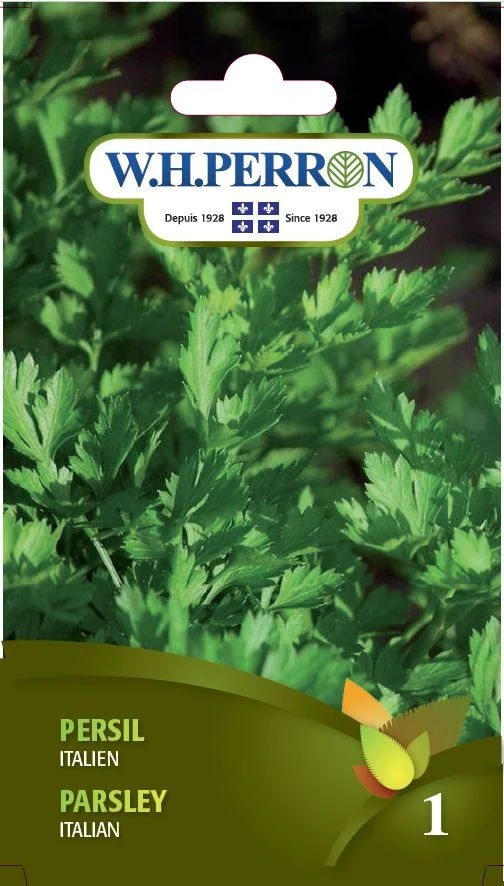 Persil 'Italien' - Semences