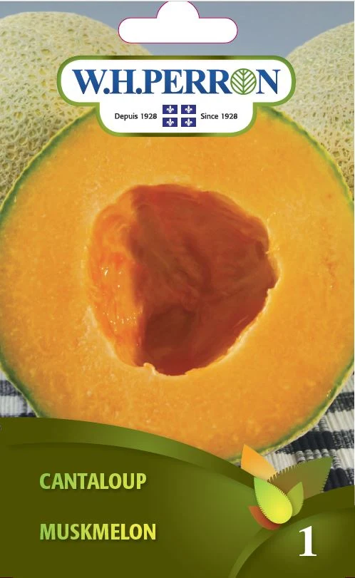 Cantaloup - Semences